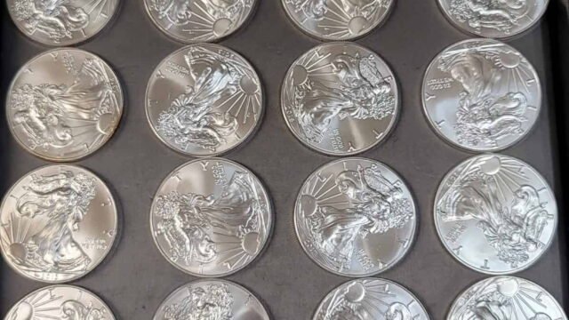 Tray of American Silver Eagle bullion coins at Apex Gold Silver Coin
