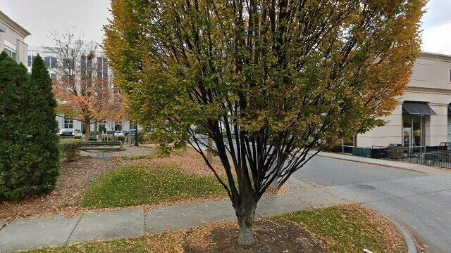 streetview-39